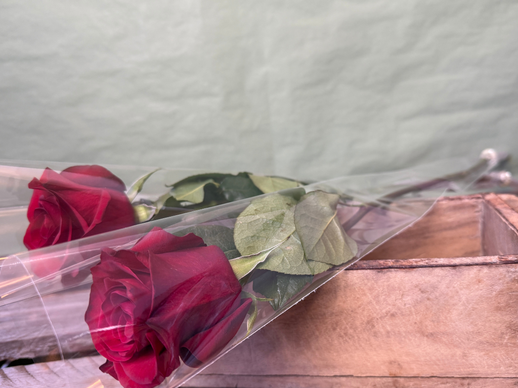 Roseposer 85x16x3 cm.