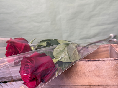 Roseposer 85x16x3 cm.