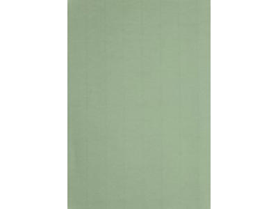 A4 220 g Karton Lys grøn