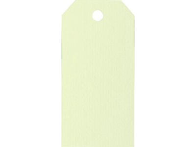 Manilla Tags 110g- 10 stk Lime 48×96 mm