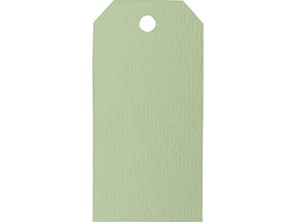 Manilla Tags 110g- 10 stk Lys grøn 48×96 mm