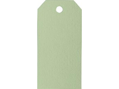 Manilla Tags 110g- Lys grøn