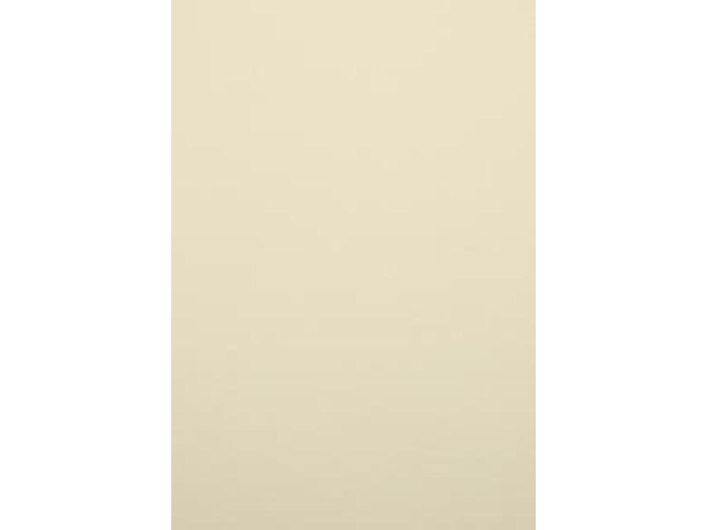 A4 220 g Karton Elfenben- 5 ark