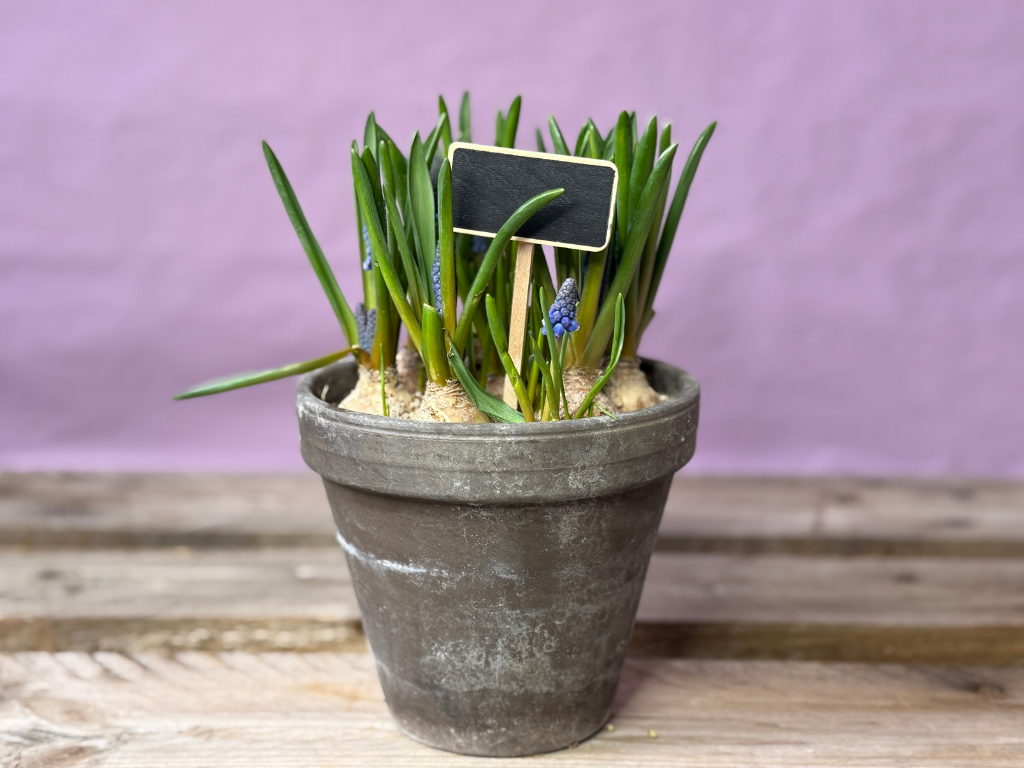 Wooden sign w/board 5 x 7 cm.