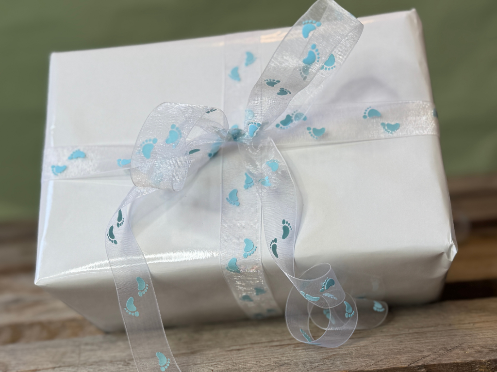 Bånd Fødder 22mmx20m Lysblå organza