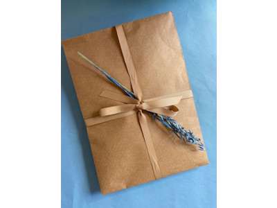 Forsendelsespose papir 350x450x80 + 100mm 200 stk. pakken