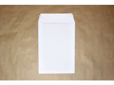  Envelope w/ cardboard backing E3