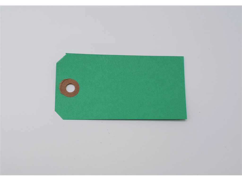 Manilla tags 5x10 cm grass green