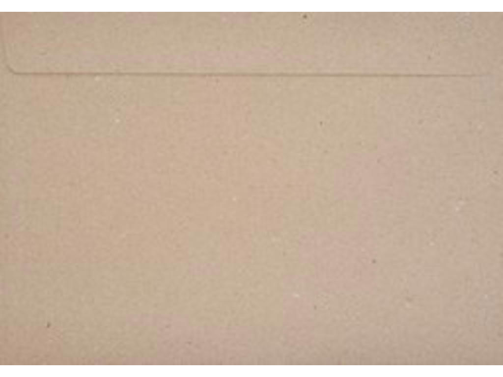 C4 Envelopes twig 110g