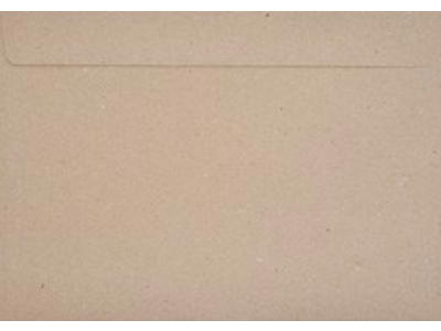 C4 Envelopes twig 110g