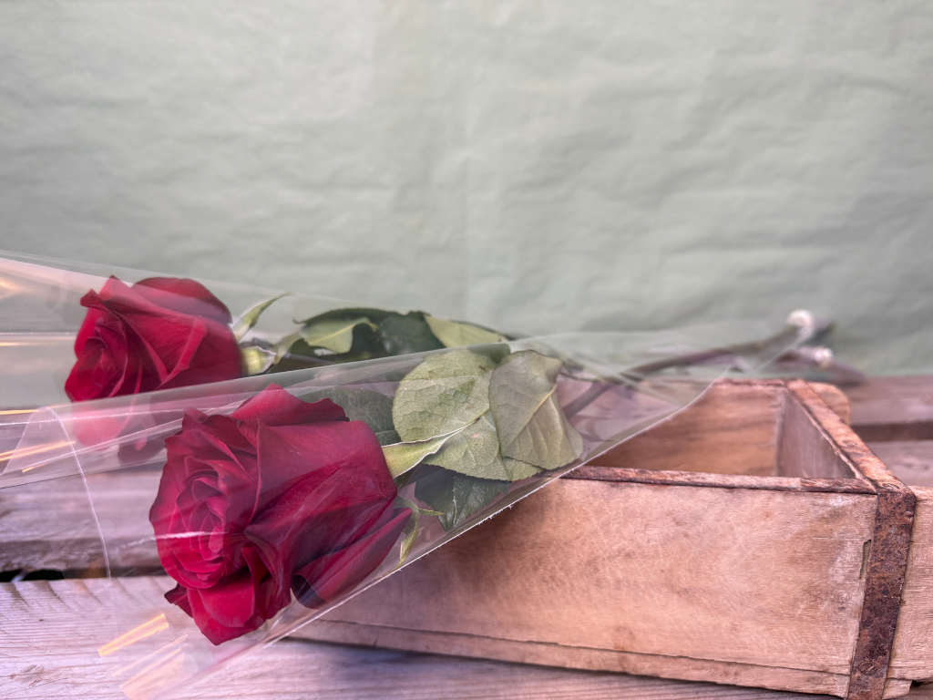 Roseposer 70x13x3 cm.