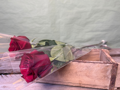 Roseposer 70x13x3 cm.