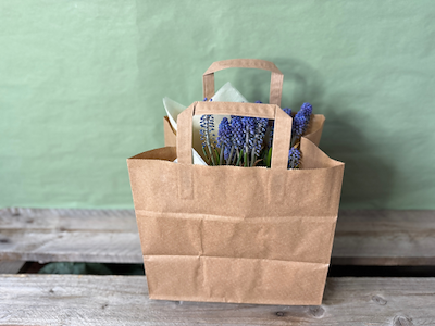 Carry bag Take-Away brown. 26x17x25cm.70g