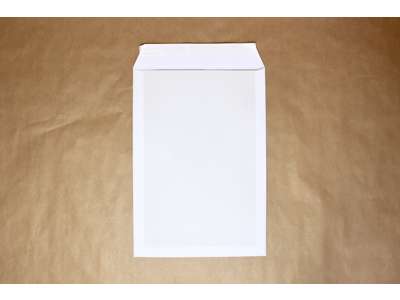  Envelope w/cardboard backing C4