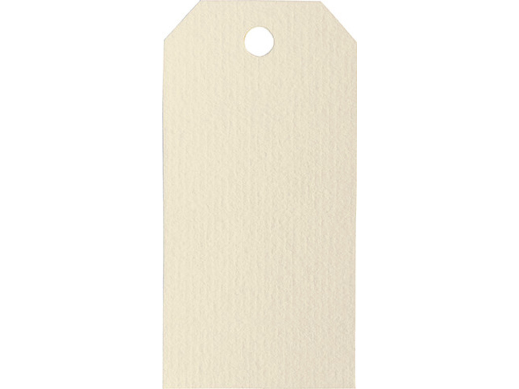 Manilla Tags 110g- 10 stk Elfenben 48×96 mm