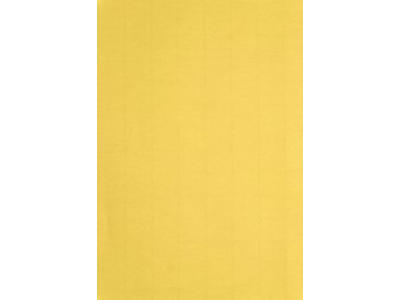 A4 220 g Karton Gul