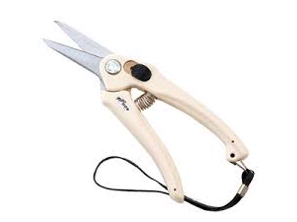 Kamaki flower scissors straight 901