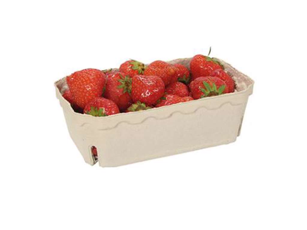 Berry trays 500 gr. Berigard