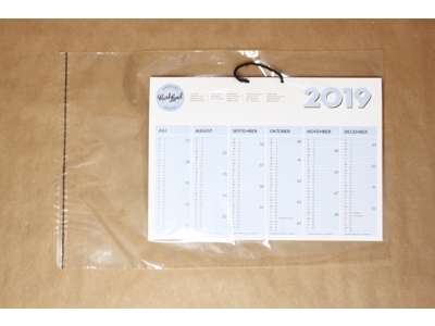 PP flat bags 30.5x43cm with adhesive A3 - 30 micron
