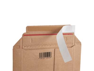 Brown cardboard envelope 250x350mm